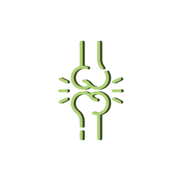 BONE-&-JOINTS