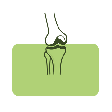BONE-&-JOINTS